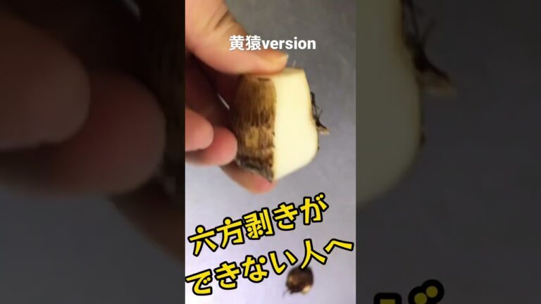 里芋の六方剥き解説。黄猿ver