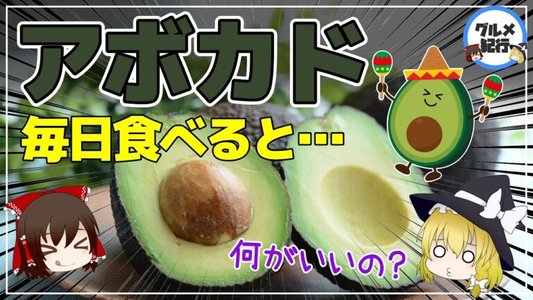 【ゆっくり解説】アボカドを毎日食べると…栄養の宝庫と言われる理由！食べる美容液で老化を止める