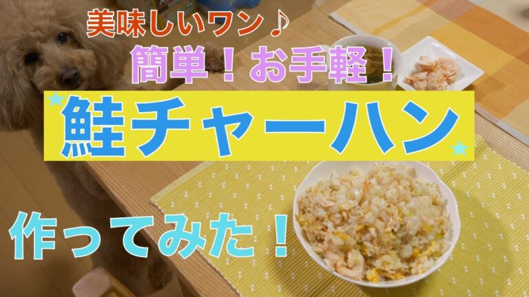 簡単！お手軽！鮭チャーハン