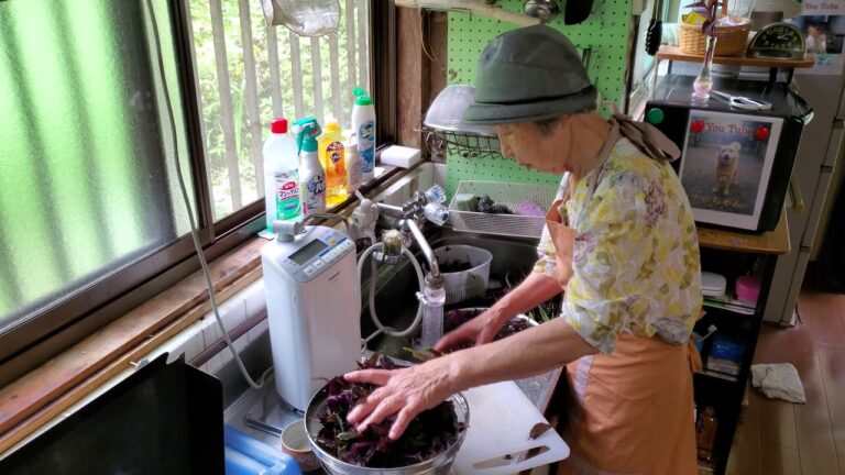 2019.08.22 ばあちゃんの孫への料理教室 ばあちゃん流 しそジュースの作り方。