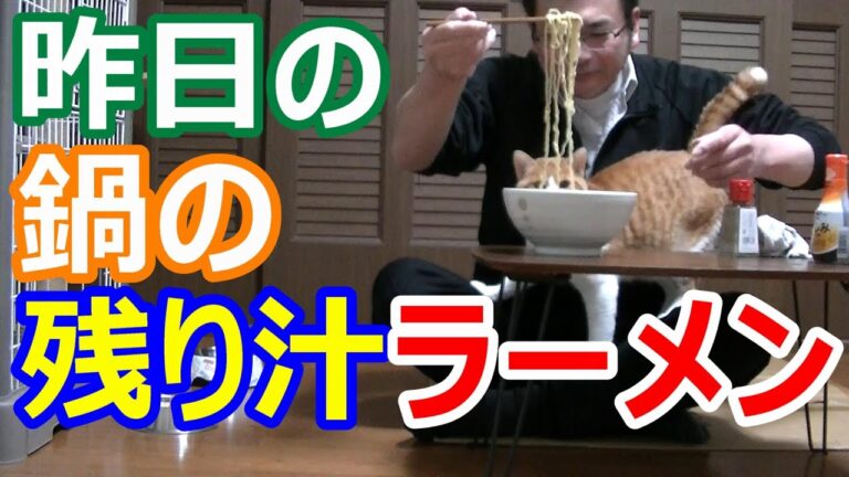 鍋の残り汁ラーメンが旨い動画「猫と一緒に晩酌」家飲み