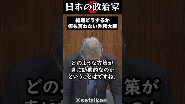 【岩屋】結局何もしない外務大臣、マジでどうするんだ... #政治 #shorts