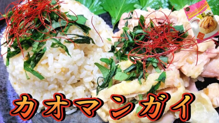 【カルディ】カオマンガイセットで簡単に炊飯器調理！スパイスの調合が最高の一品！