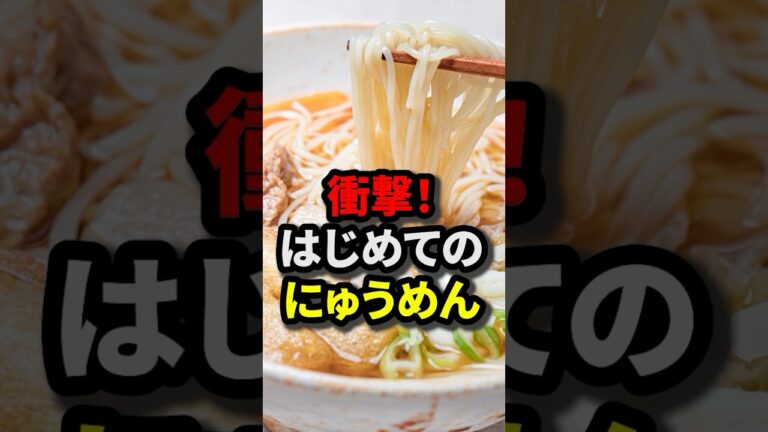 【海外の反応】にゅうめんって何？ラーメンやうどんじゃない日本の古き麺料理にフランス人が衝撃を受ける#日本食 #外国人の反応 #素麺 #アレンジ #雑学#shorts