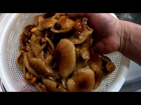 【キノコ料理】ヒラタケ、クリタケのオイスターソース炒め・なめこの味噌汁‼