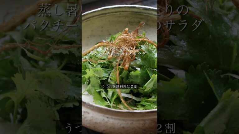 【うつわ8割】隠し味の味噌が決め手 パクチーと青唐辛子の夏サラダ(姉妹プラス)_N'238