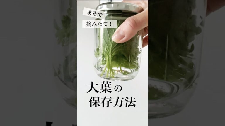 【大葉の保存方法】シャキシャキシソにする方法 #shorts