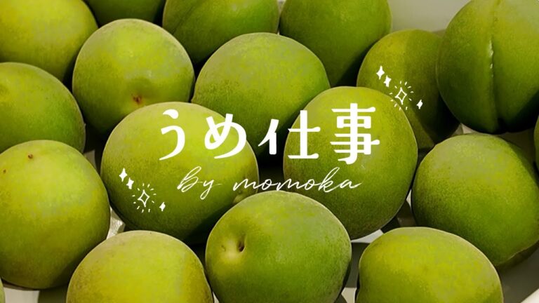 【Vlog】はじめての梅仕事 | 旬を楽しむ、丁寧な暮らし🍃