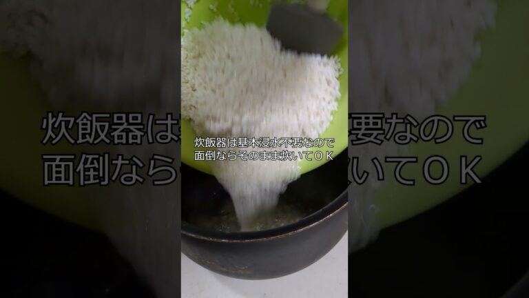 炊きこみ白だしむすびで呑む #shorts