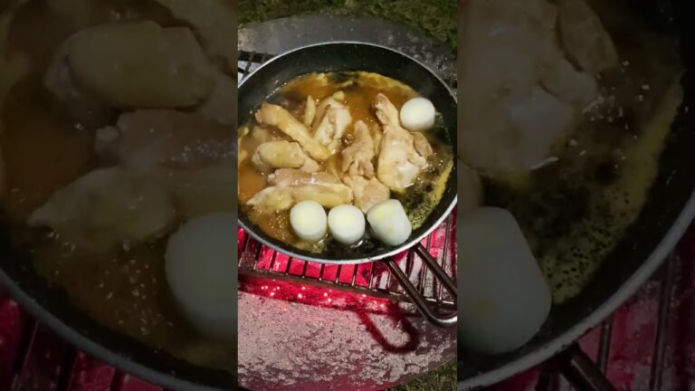 【すき焼きの日】鶏とネギだけですき焼き作ったら最高だった #shorts #すき焼き #sukiyaki #ソロキャンプ
