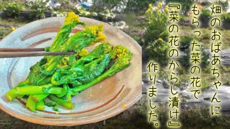 旬を食べよう『菜の花のからし漬け』とっておきの漬け汁をご紹介！フレッシュな辛さとほろ苦さが美味しい♪料理 レシピ 簡単