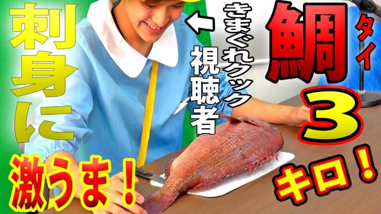 市場で仕入れた巨大鯛を刺身に！クック視聴者なら初心者でも魚を捌ける説！