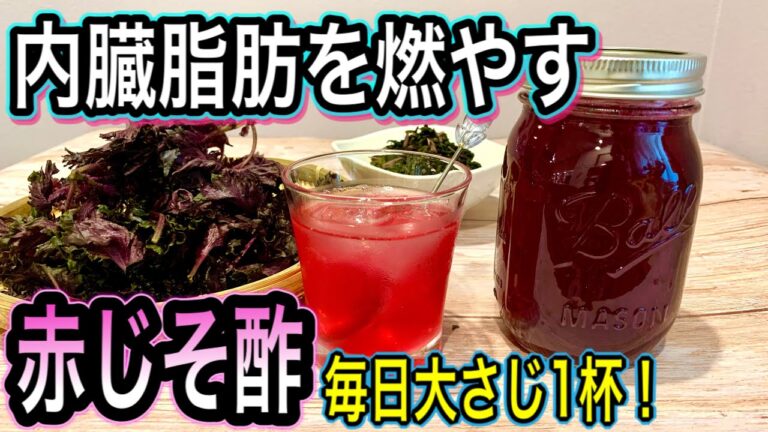 【手作り健康酢】赤じそ酢の効果がすごい！内臓脂肪と老化予防に最強！毎日大さじ1杯の健康生活