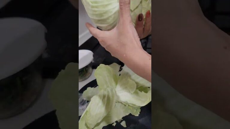 今日の夕飯 豚バラキャベツのオイスターソース炒め お味噌汁 ほうれん草の胡麻和え サラダ