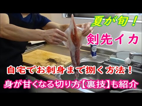 【簡単旨い裏技】剣先イカを自宅でお刺身までする方法。身を甘くなる切り方【裏技】も紹介しています。＃剣先イカ　＃イカの捌き方　＃裏ワザ