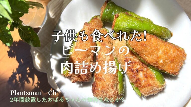 【ピーマンの肉詰揚げ編】揚げてアツアツ美味しい♪子供も喜ぶピーマン料理♪