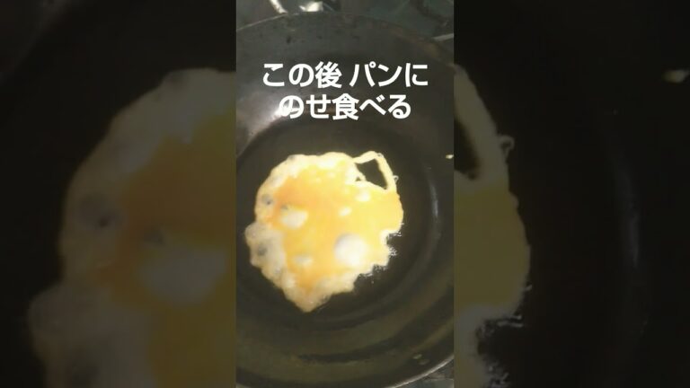 ポチギ、魚肉ソーセージ、ブロッコリー、炒める、弁当屋、夫婦vlog、｜lunchbox Japanese bento