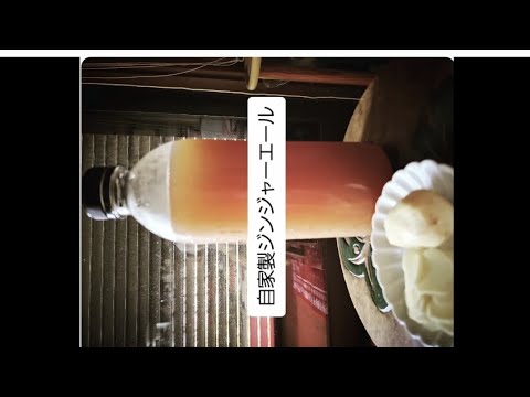 自家製ジンジャーエール #ジンジャーエール#作り方 #自家製 #手作り #本格的 #農家料理  #冷凍保存可能