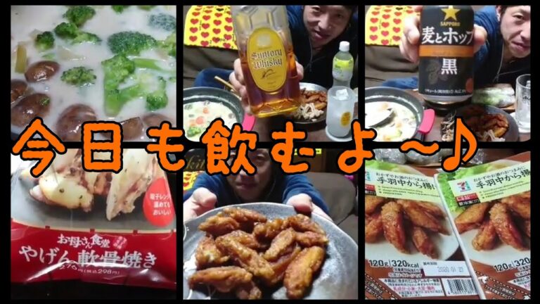 #黒ビール シチュー、生春巻とヤゲン軟骨と時々ボク。【呑み動画】【ガチ呑み】