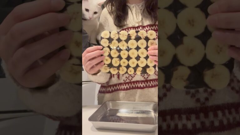 【材料4つ】太らないチョコバナナアイス🍌🍫 #簡単レシピ #ダイエット #ダイエットレシピ