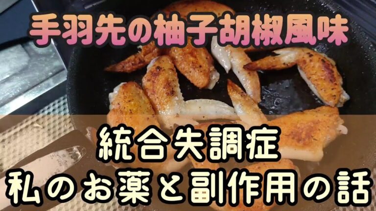 焼き手羽先の柚子胡椒風味～統合失調症私の飲んでいるお薬と副作用について～