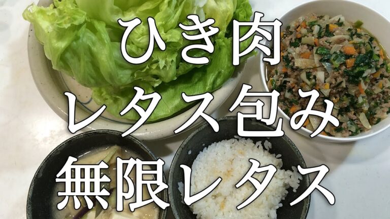149日 無限レタス ひき肉のレタス包み ナスと豆腐の味噌汁【働く３児ママの帰宅後毎日クッキング】Japanese Supper Day 149 ちょっと変なうちの夕食