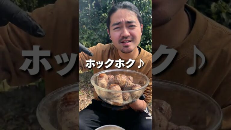 【芋煮会】開幕しました。 #shorts