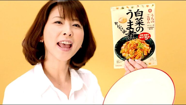 森高千里 : うちのごはん・白菜のうま煮 (201311)