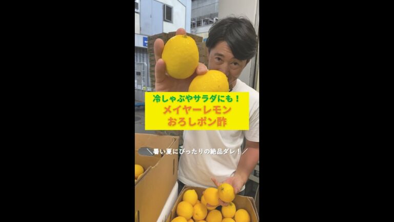 【夏レシピ】メイヤーレモンおろしポン酢を豚しゃぶやサラダに！夏バテ防止にもピッタリの絶品ダレ #shorts