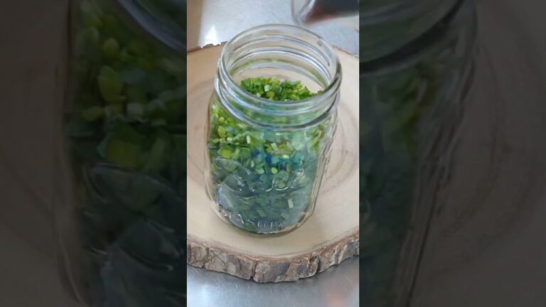 簡単！感動！万能調味料！ 【ニラ 醤油漬け】 内臓脂肪を燃やす ニラの食べ方 と アレンジ 5選 ニラ レシピ ダイエット #shorts