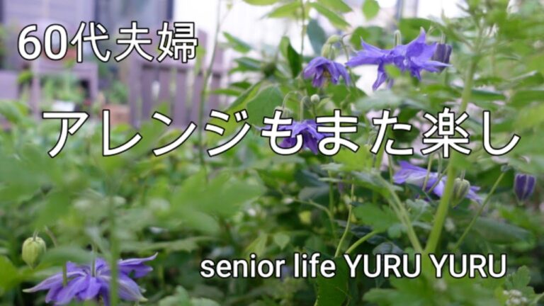 【シニアライフ】ハンバーグ種のアレンジ、ピーマンの肉詰めと肉団子のポトフ、香りの庭に、