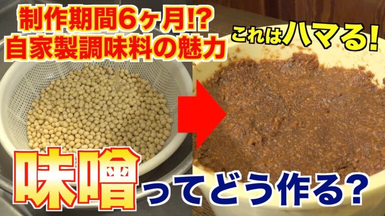 【6ヶ月熟成】大豆を熟成させたら『味噌』が出来ました。