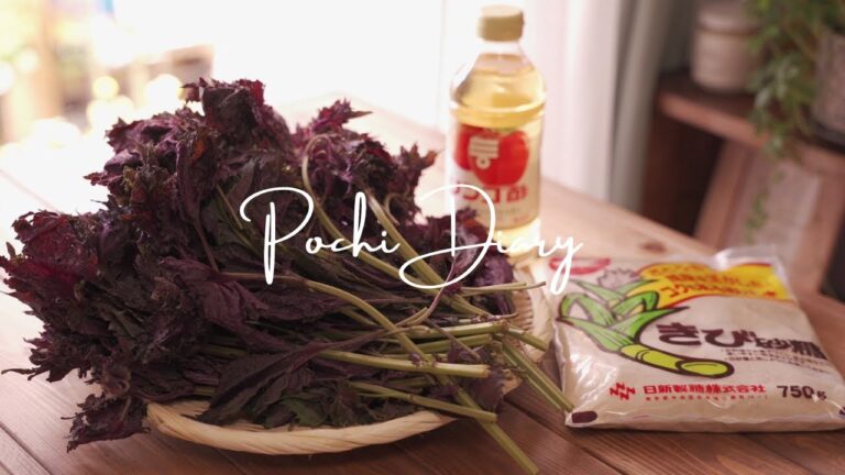 初夏の味🍹赤紫蘇ジュースのレシピ｜夏バテ予防