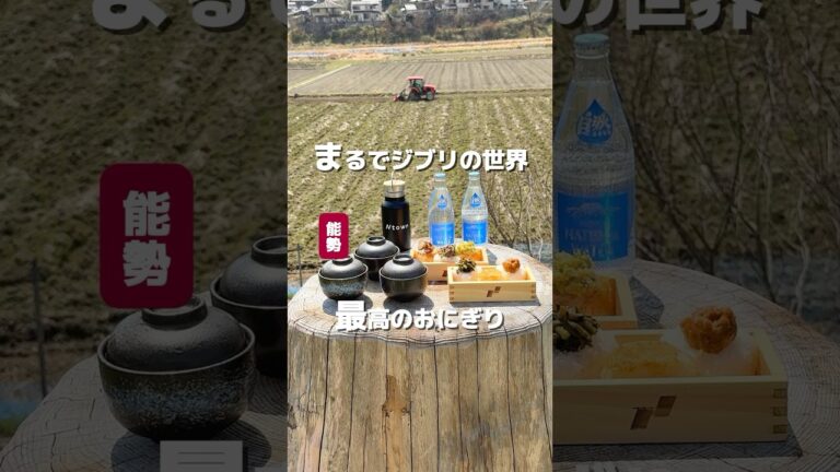 まるでジブリの世界 最高のおにぎり【Ntown（エヌタウン）】