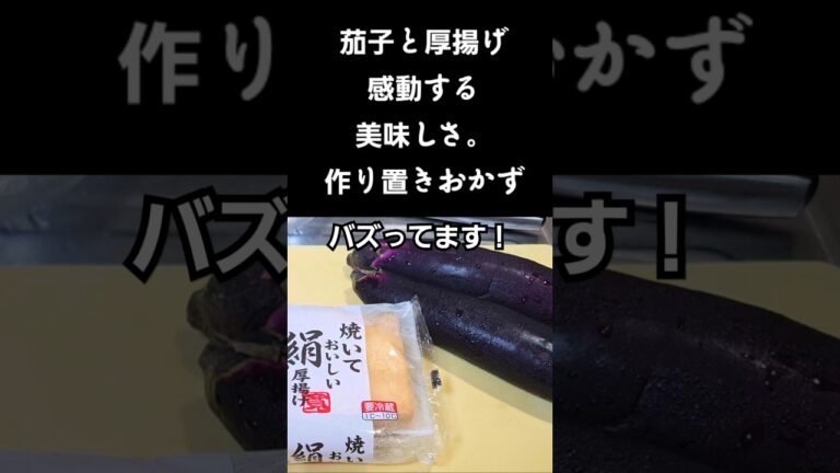 茄子と厚揚げ！あまりの美味しさに感動した！簡単レシピ 作り置き おかず おつまみ 副菜 お弁当 おうちごはん