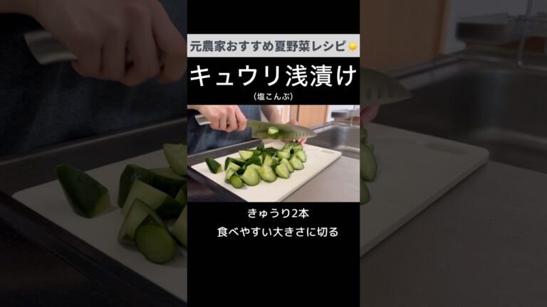 夏の定番！簡単キュウリ塩昆布浅漬け