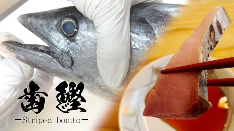 【プロの皮引き】超レアな魚、ハガツオ！ 身が柔らかい難敵の捌き方【たたき＆刺身】