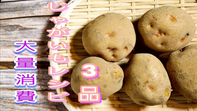 【簡単料理】　じゃがいもレシピ3品・じゃがいも大量消費　お弁当/おつまみ/作り置き/作り置きレシピ