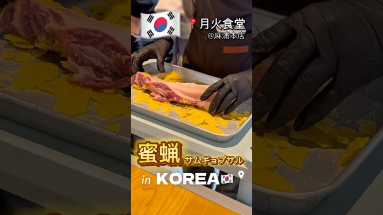 【大ヨダレ案件🤤】蜜蝋で熟成させたサムギョプサルが美味しすぎる💕💕💕#韓国 #韓国旅行 #渡韓 #korea #韓国料理 #サムギョプサル #美味しい #グルメ #韓国グルメ #prじゃない