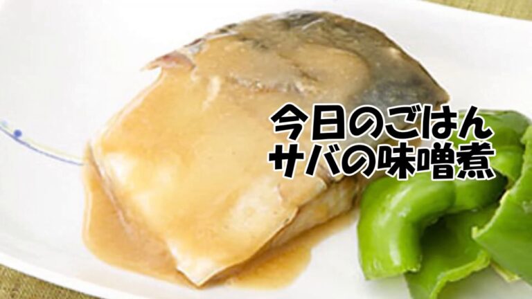 さばの味噌煮　時短おいしく作る方法