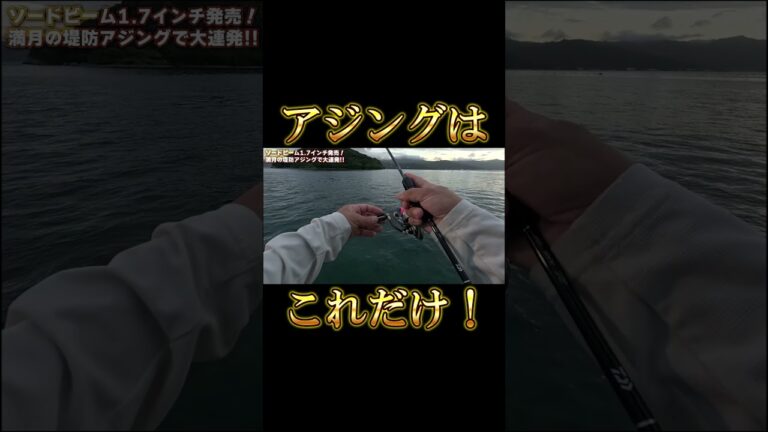 アジングはコレだけで釣れます #アジング #釣り #釣り方