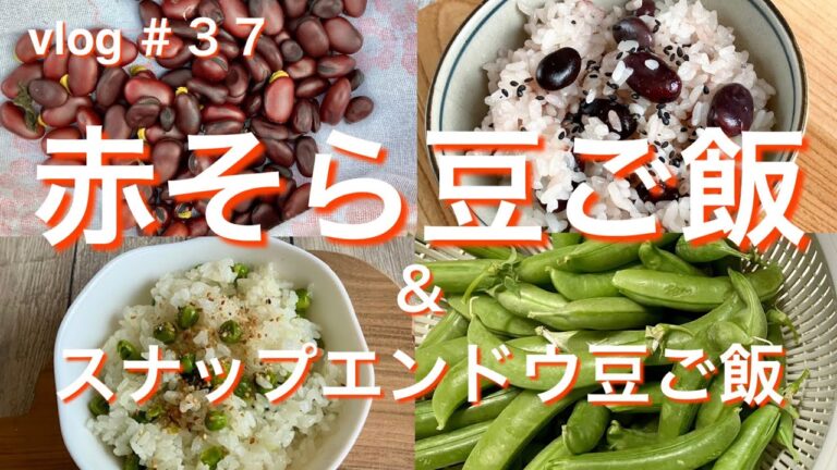 ［赤そら豆ご飯とスナップエンドウ豆ご飯］#赤そら豆#そら豆ご飯#豆ご飯#スナップエンドウ