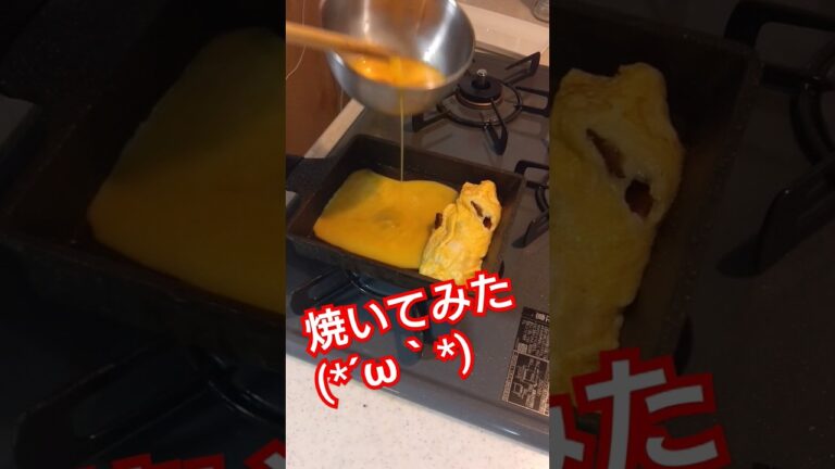 だし巻玉子にベーコンとチーズ入れて焼いてみた #ベーコン #チーズ #だし巻き卵 #厚焼き玉子 #玉子焼き #egg #eggs #shorts #short