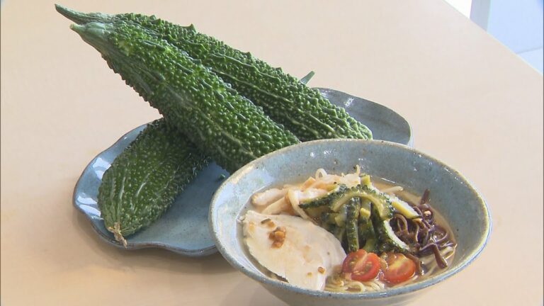 夏野菜ゴーヤーたっぷり あっさり鶏がらスープの冷やしちゃんぽん　生産者の思いは