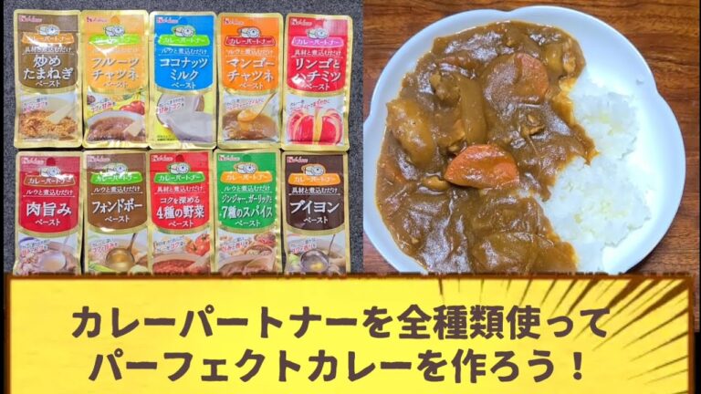 カレーパートナーを全種類使って、パーフェクトカレーを作ろう！【#カレー】【雑談】【ERGASの部屋】