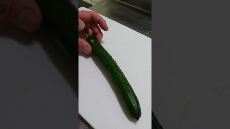 新種のヘビ発見？（笑）【これぞ本当の蛇腹キュウリ】料理アート！面白料理動画！　#shorts