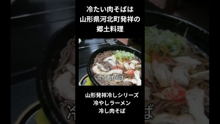 山形発祥冷たいラーメンシリーズ、冷し肉そば