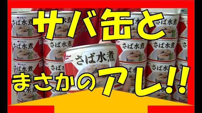サバ缶と「アレ」を合わせる！スゲ～簡単美味しいレシピ
