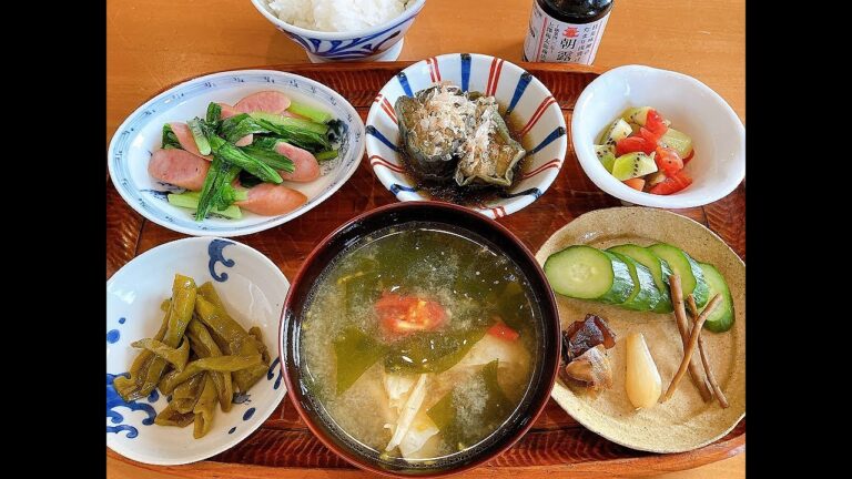 唐辛子の炒りつけ、ウインナーソーセージと小松菜のソテー、茄子の揚げびたし、トマトとキウイのサラダで朝食　#Shorts