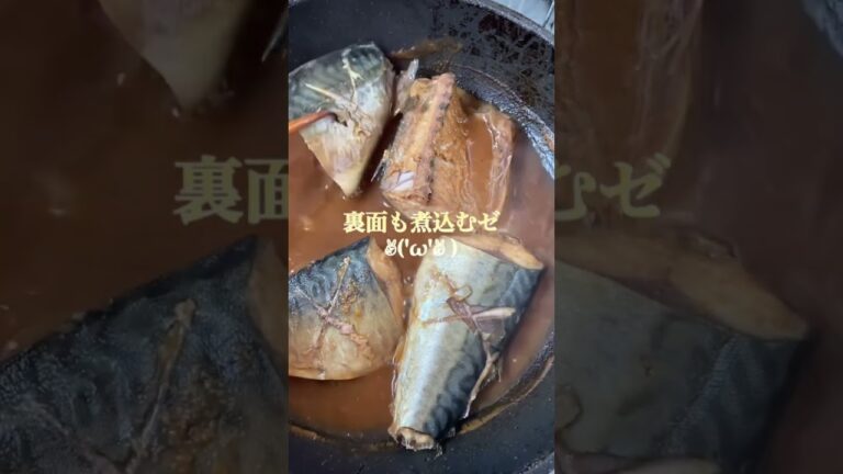 簡単♪サバの味噌煮作ったよ😃【記載漏れ　生姜チューブ適量　入り】